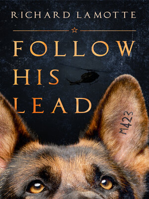 cover image of Follow His Lead